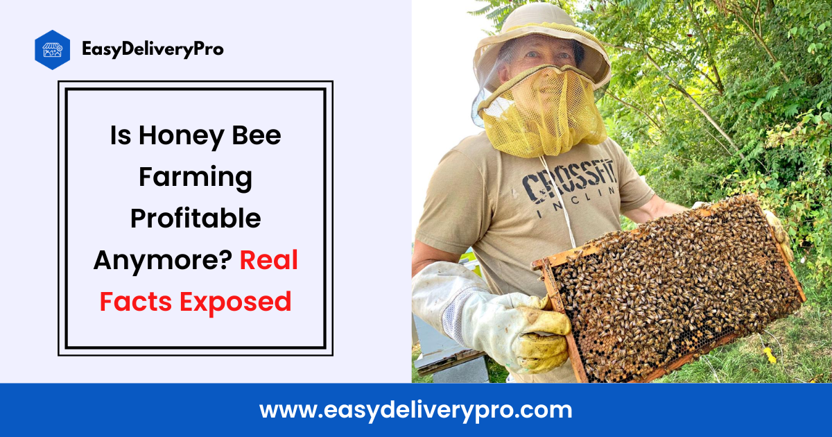 Is Honey Bee Farming Profitable Anymore? Real Facts Exposed