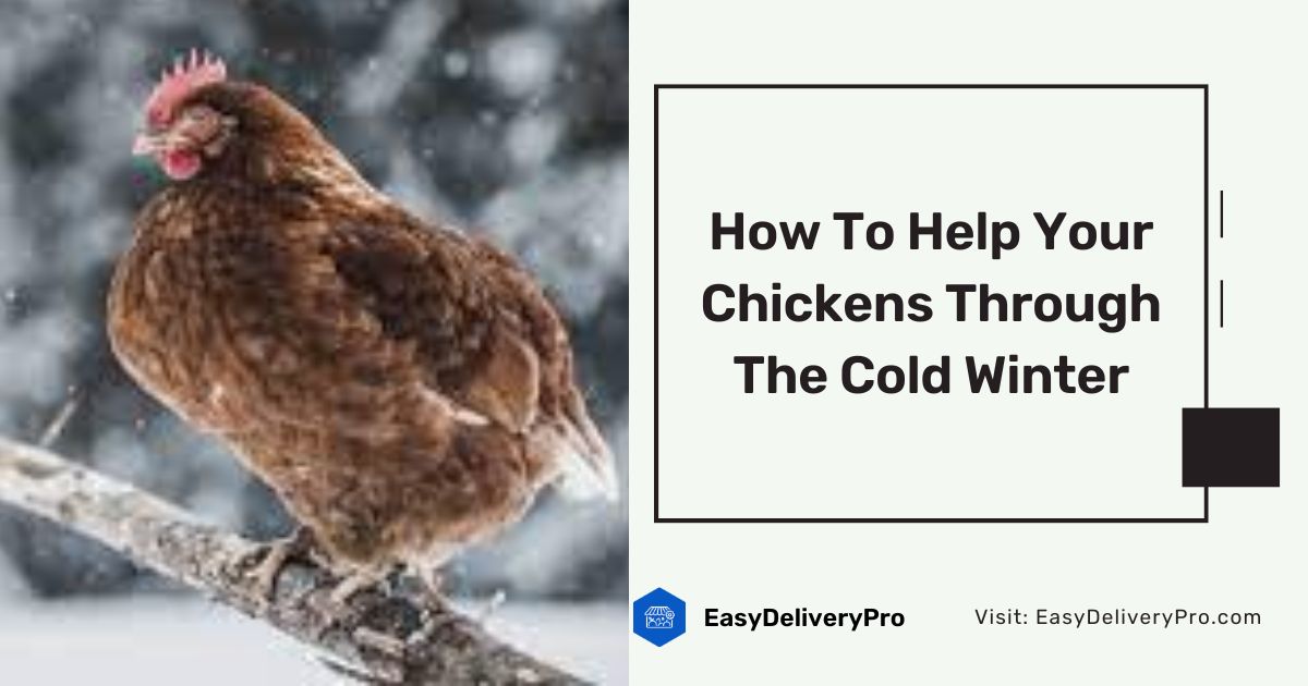How To Help Your Chickens Through The Cold Winter