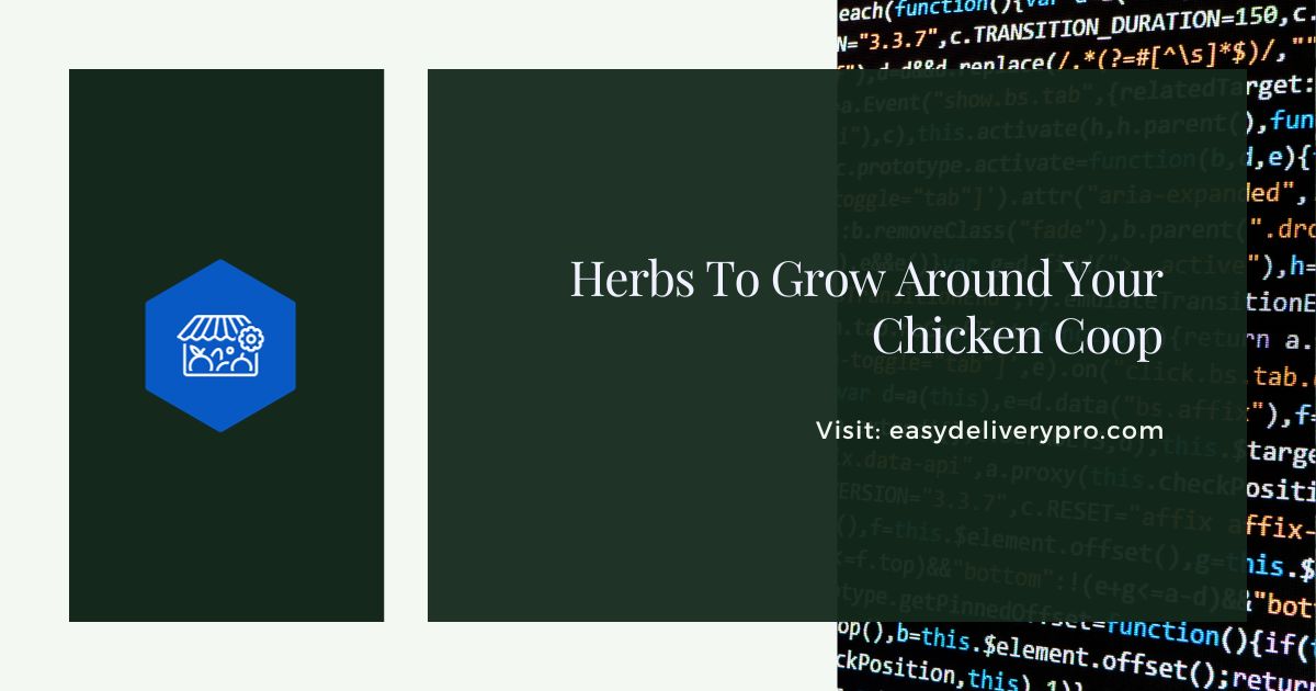 Herbs To Grow Around Your Chicken Coop