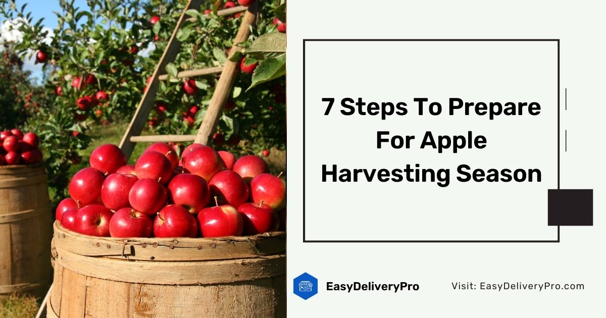7 Steps To Prepare For Apple Harvesting Season
