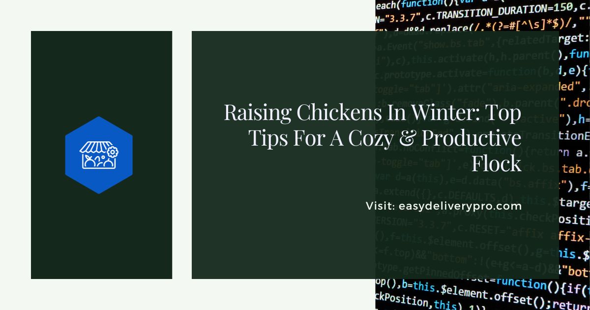 Raising Chickens In Winter: Top Tips For A Cozy & Productive Flock